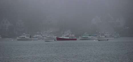 Misty Harbor